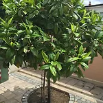 Baric 4412 Apartmán *