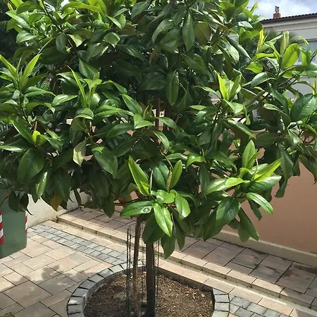 Baric 4412 Appartement *