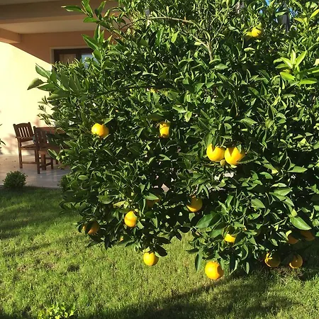 Appartement Baric 4412 *